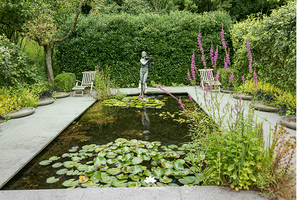 Vijveronderhoud in augustus