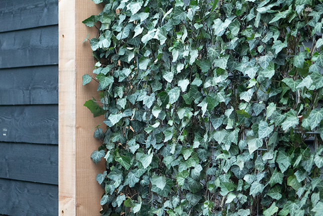 Groene tuinafzettingen