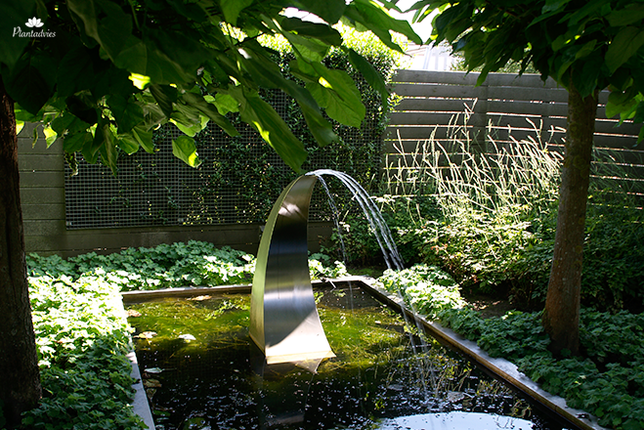 Vijveronderhoud in maart