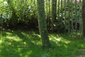 Gazononderhoud in april