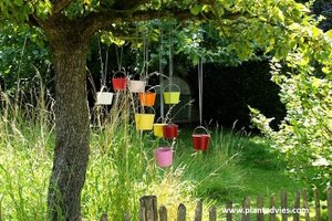 Gazononderhoud in juni